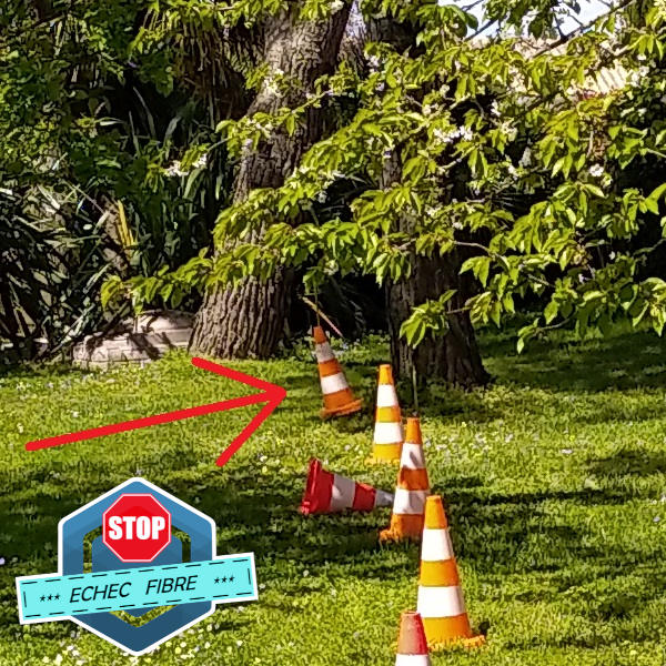 fourreau dévié par racines arbre